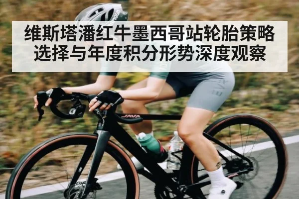 维斯塔潘红牛墨西哥站轮胎策略选择与年度积分形势深度观察
